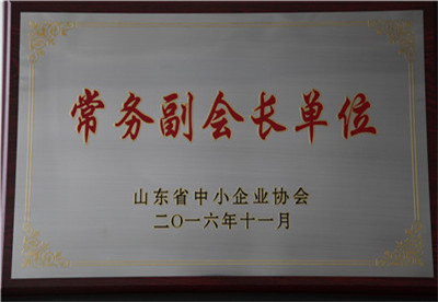 山東省中小企業(yè)協(xié)會常務副會長單位